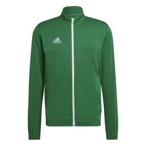 adidas Ent22 Tk Jkt - teagrn/white