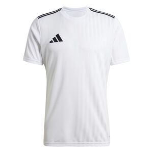 adidas Campeon25 Jsy M - white/black