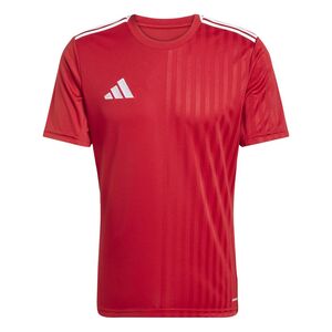 adidas Campeon25 Jsy M Fuballtrikot