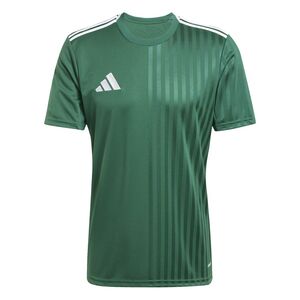 adidas Campeon25 Jsy M - drkgrn/white