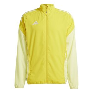 adidas Tiro25C Pre Jkt Trainingsjacke
