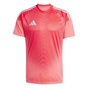 adidas Tiro 23 Club Goalkeeper Jersey M�nnertrikot