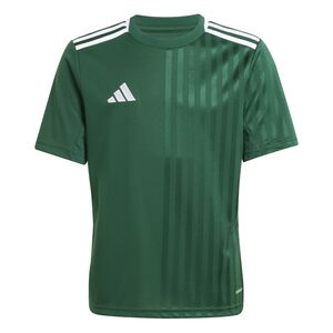 adidas Campeon25 Jsy Y - drkgrn/white