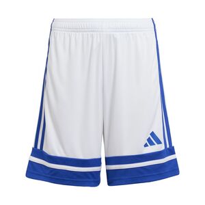 adidas Squa25 Sho Y - white/royblu