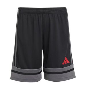 adidas Squa25 Sho Y Shorts