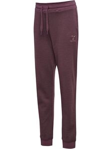 Hummel Hmlwong pants - huckleberry