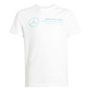 adidas Mer Dna Gftee Y - white