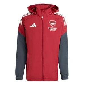 adidas Afc Eu Aw Jkt - tecobu/dkgrey