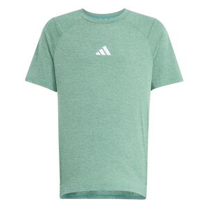 adidas J Gt Pz Tee - purtea/limbur/refsil