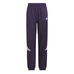 adidas Crazylite Pant - aurplu/white