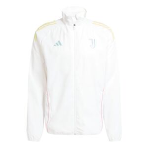 adidas Juve Pre Jkt - white