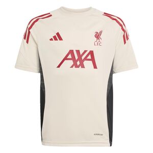 adidas Lfc Tr Jsy Y Kinder - wonwhi