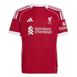 adidas Lfc H Jsy Y - strred