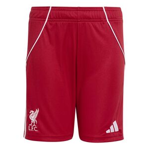 adidas Lfc H Sho Y - strred