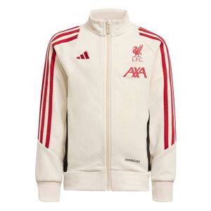 adidas Lfc Tk Suit I - wonwhi