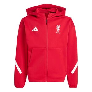 adidas Lfc Anth Jkty - strred