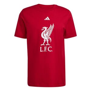 adidas Lfc Dna Gr Tee - strred