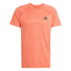 adidas Gym+ Tee - eascor