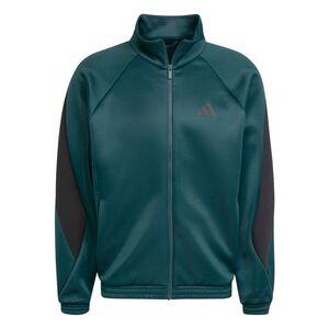 adidas M Stadium Tt - aurivy/prltem/black