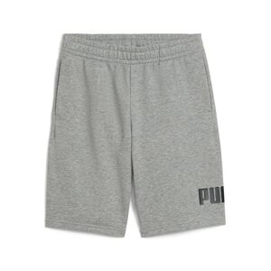Puma ESS No. 1 Logo Shorts TR B - grau