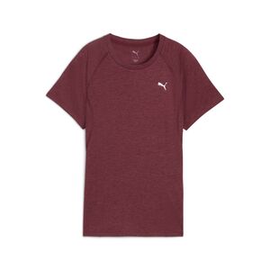 Puma W RUN VELOCITY TEE (TRI-BLEND) - rot