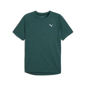 Puma M RUN VELOCITY TEE (TRI-BLEND) - gr�n