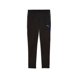 Puma individualCUP Training Pants - schwarz