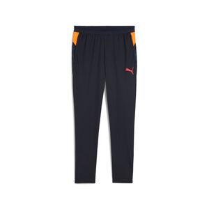 Puma individualCUP Training Pants - blau