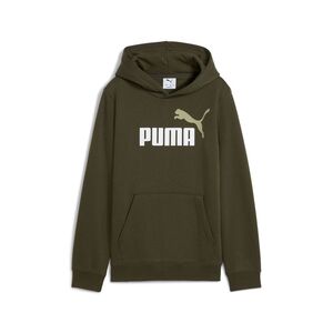 Puma ESS 2 COLOR No. 1 Logo Hoodie FL B - gr�n