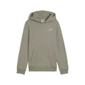 Puma ESS 2 COLOR Small No. 1 Logo Hoodie FL B - gr�n