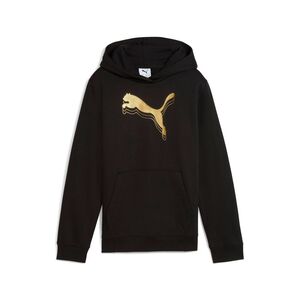Puma ESS METALLIC Hoodie FL G - schwarz