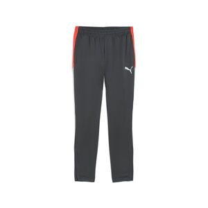 Puma IndividualLIGA Training Pants - grau