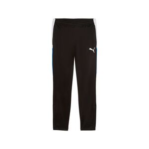 Puma IndividualLIGA Training Pants - schwarz