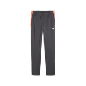 Puma IndividualLIGA Training Pants Jr - grau