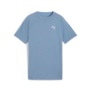 Puma EVOSTRIPE Tee B - blau