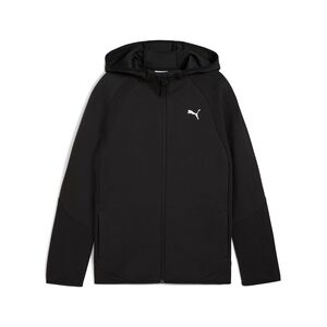 Puma EVOSTRIPE Full-Zip Hoodie DK B - schwarz