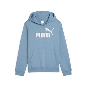 Puma ESS No. 1 Logo Hoodie FL G - blau