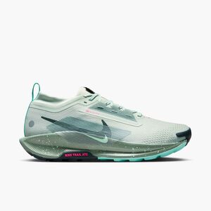 Nike Nike Pegasus Trail 5 Gtx - light silver/seaweed-clay green