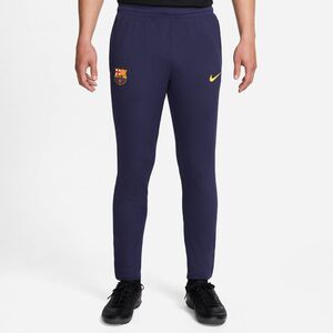 Nike Fcb M Nkdfadvstrkeltpnt Kpz - imperial purple/midwest gold