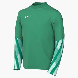 Nike Y Nk Df Park V Gk Jsy Ls - stadium green/white