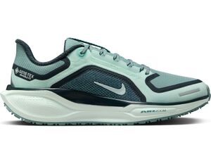 Nike W Air Zm Pegasus 41 Gtx - cannon/bleached turq-barely green