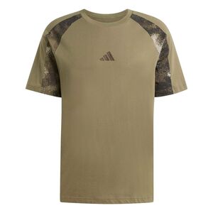 adidas M Camo Print Te - olistr/multco