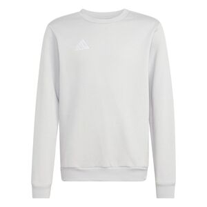 adidas Ent26 Sw Topy - tmlggr/white