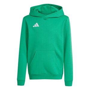 adidas Ent26 Hoody Y - teagrn/white