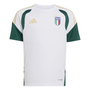 adidas Figc Tr Jsyy - white