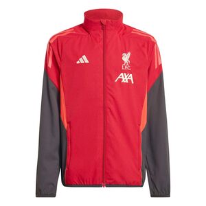 adidas Lfc Pre Jkt Y - strred