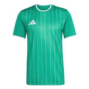 adidas Ent26 Gfx Jsy - teagrn/white