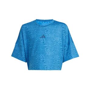 adidas Jg Spi Aop Tee - rayblu/dupe/dupe