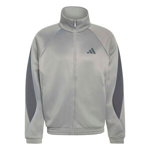 adidas M Stadium Tt - chsogr/gresix/globlu