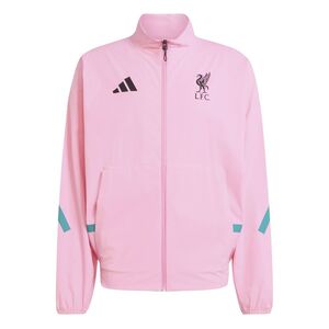 adidas Lfc Anth Jkt - sepigl